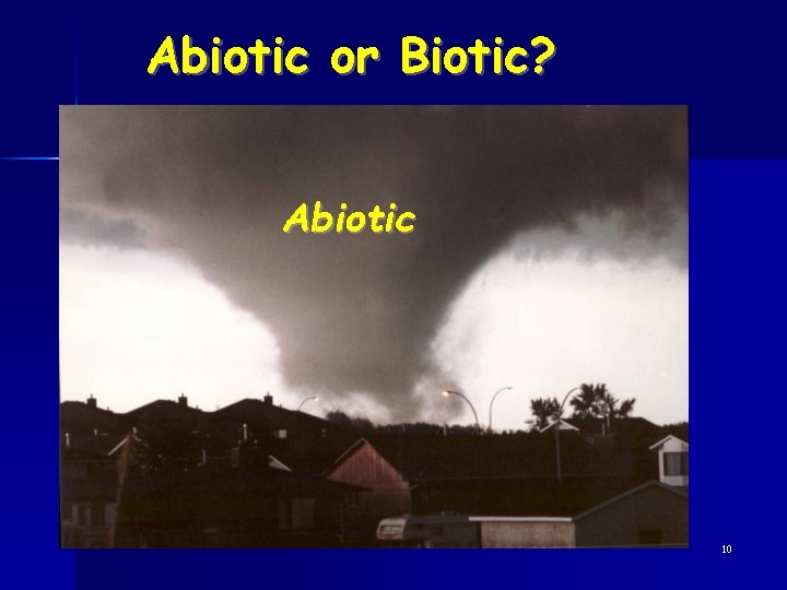 Abiotic or Biotic? Abiotic 10 