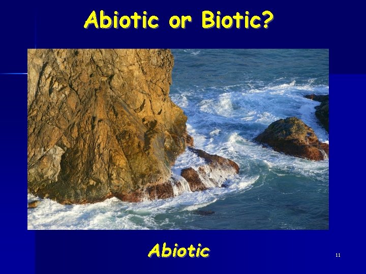 Abiotic or Biotic? Abiotic 11 