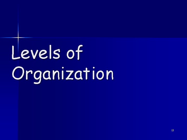 Levels of Organization 13 