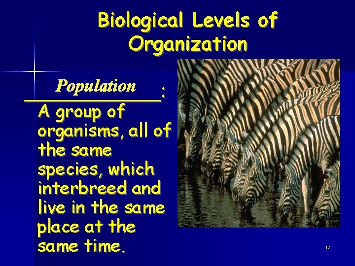 Biological Levels of Organization Population ______: A group of organisms, all of the same