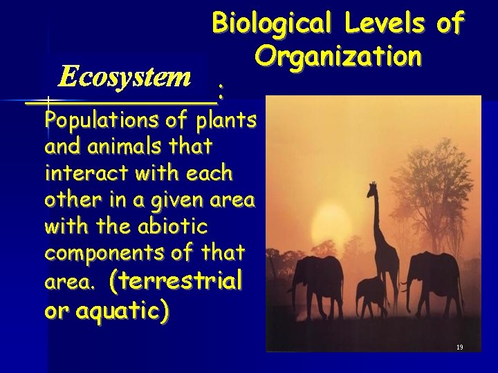 Biological Levels of Organization Ecosystem ______: Populations of plants and animals that interact with
