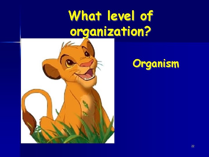 What level of organization? Organism 22 