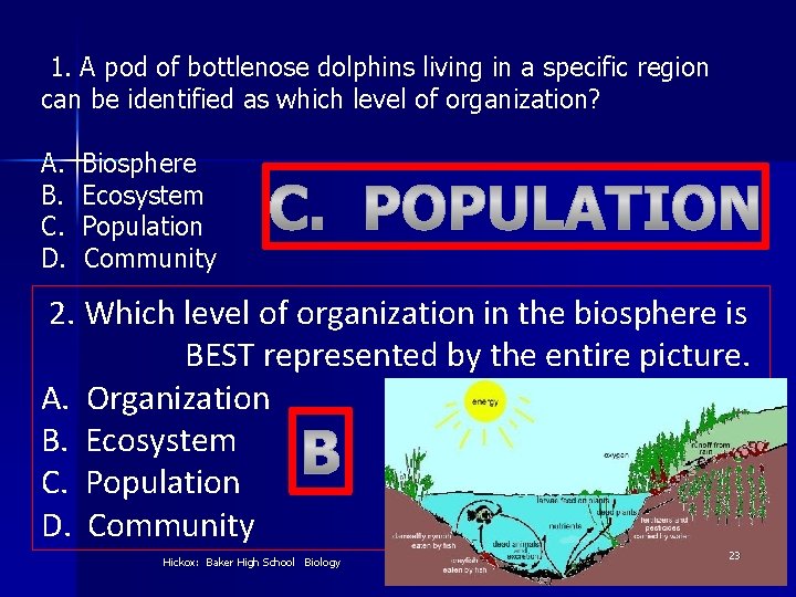 1. A pod of bottlenose dolphins living in a specific region can be identified