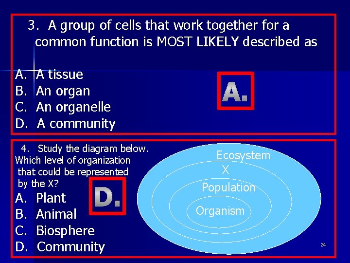 3. A group of cells that work together for a common function is MOST