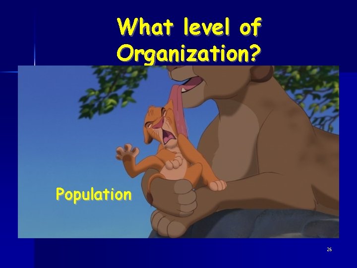 What level of Organization? Population 26 