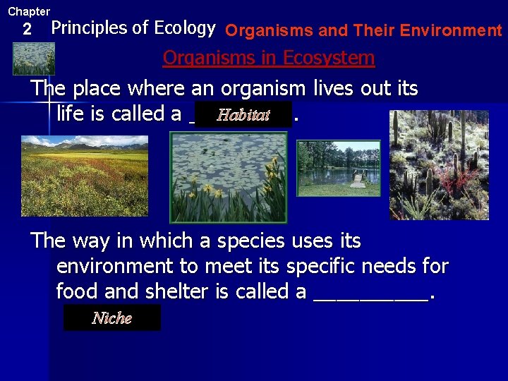 Chapter 2 Principles of Ecology Organisms and Their Environment Organisms in Ecosystem The place