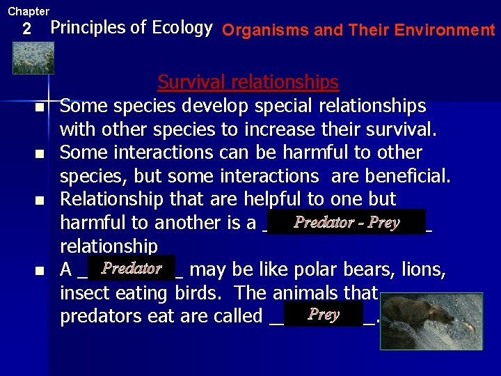Chapter 2 n n Principles of Ecology Organisms and Their Environment Survival relationships Some