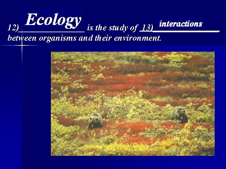 Ecology interactions 12)________ is the study of 13)________ between organisms and their environment. 