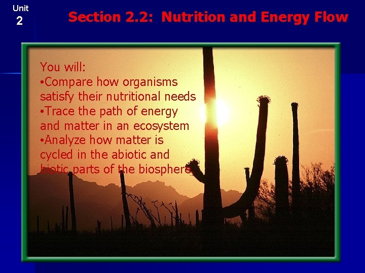 Unit 2 Section 2. 2: Nutrition and Energy Flow You will: • Compare how