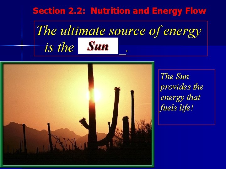 Section 2. 2: Nutrition and Energy Flow The ultimate source of energy Sun is