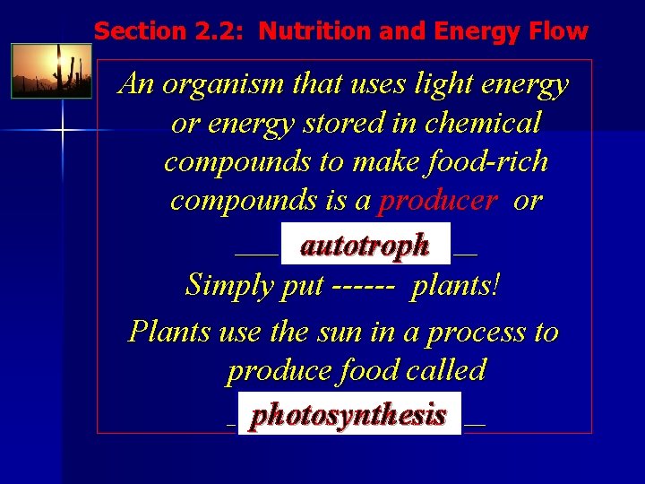 Section 2. 2: Nutrition and Energy Flow An organism that uses light energy or