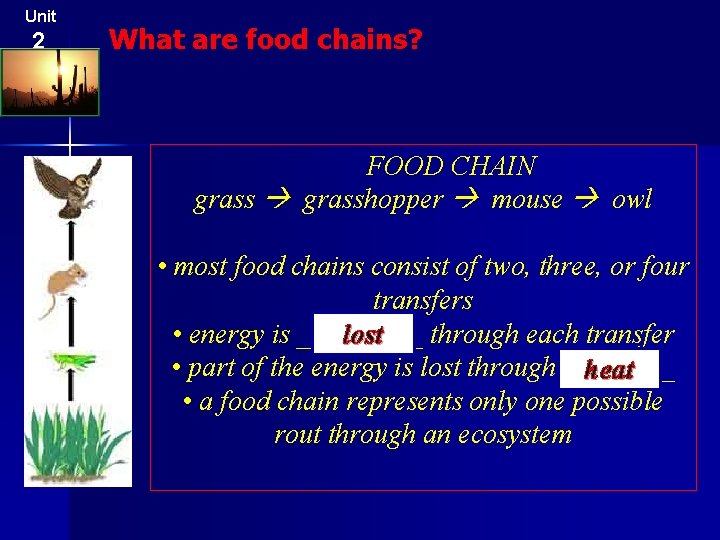 Unit 2 What are food chains? FOOD CHAIN grasshopper mouse owl • most food