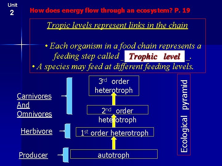 Unit How does energy flow through an ecosystem? P. 19 Tropic levels represent links