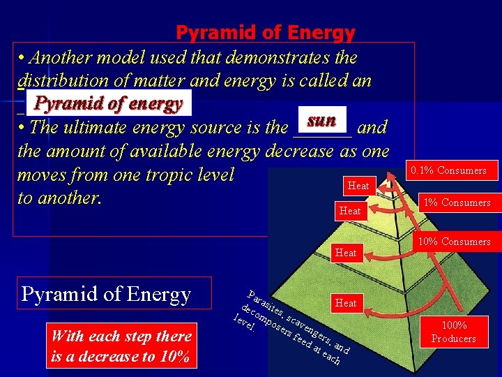 Pyramid of Energy • Another model used that demonstrates the distribution of matter and