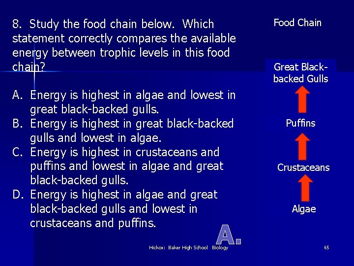 8. Study the food chain below. Which statement correctly compares the available energy between