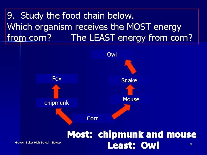 9. Study the food chain below. Which organism receives the MOST energy from corn?