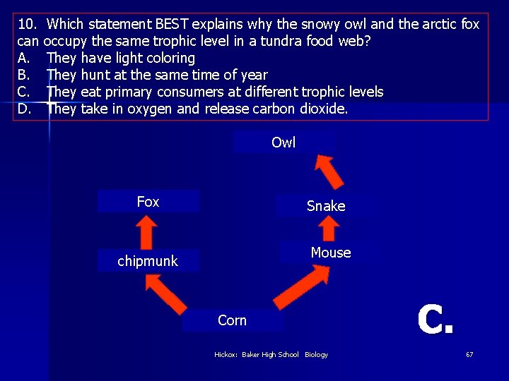 10. can A. B. C. D. Which statement BEST explains why the snowy owl