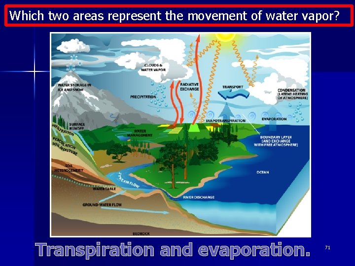 Which two areas represent the movement of water vapor? Transpiration and evaporation. 71 