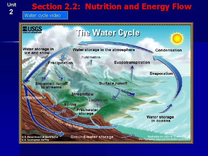 Unit 2 Section 2. 2: Nutrition and Energy Flow Water cycle video 