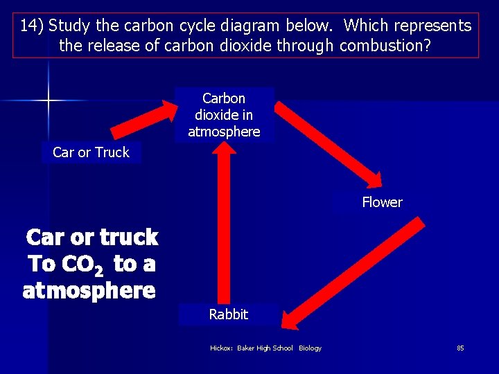 14) Study the carbon cycle diagram below. Which represents the release of carbon dioxide