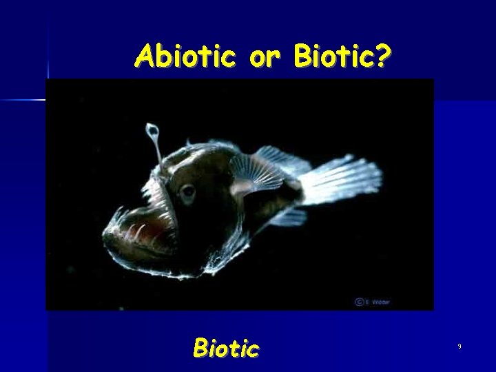 Abiotic or Biotic? Biotic 9 