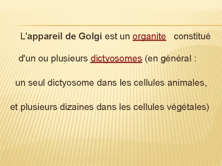  L'appareil de Golgi est un organite constitué d'un ou plusieurs dictyosomes (en général