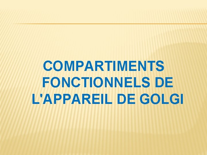 COMPARTIMENTS FONCTIONNELS DE L'APPAREIL DE GOLGI 