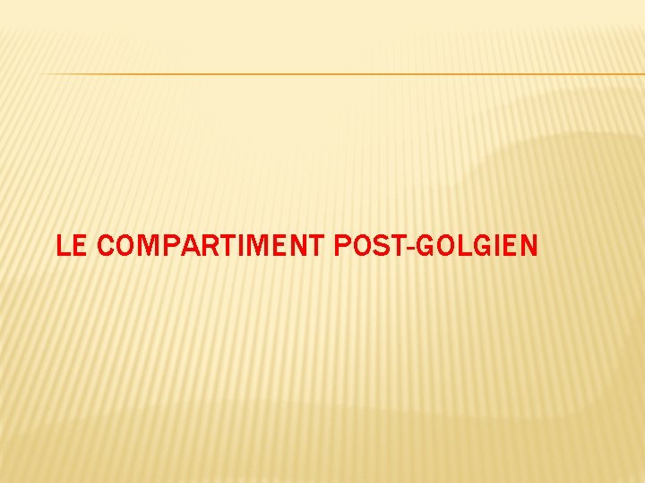 LE COMPARTIMENT POST-GOLGIEN 