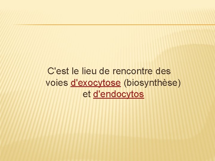 C'est le lieu de rencontre des voies d'exocytose (biosynthèse) et d'endocytos 