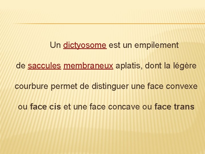  Un dictyosome est un empilement de saccules membraneux aplatis, dont la légère courbure