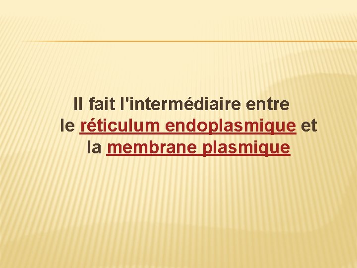 Il fait l'intermédiaire entre le réticulum endoplasmique et la membrane plasmique 