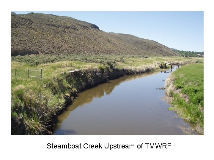 Steamboat Creek Upstream of TMWRF 