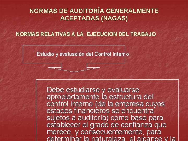 NORMAS DE AUDITORÍA GENERALMENTE ACEPTADAS (NAGAS) NORMAS RELATIVAS A LA EJECUCION DEL TRABAJO Estudio