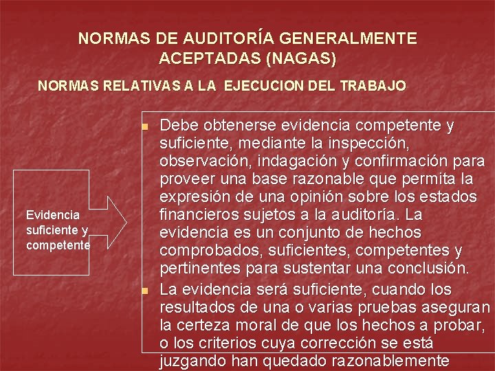 NORMAS DE AUDITORÍA GENERALMENTE ACEPTADAS (NAGAS) NORMAS RELATIVAS A LA EJECUCION DEL TRABAJO n