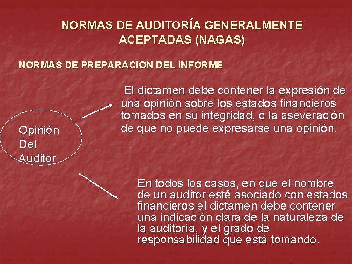 NORMAS DE AUDITORÍA GENERALMENTE ACEPTADAS (NAGAS) NORMAS DE PREPARACION DEL INFORME Opinión Del Auditor