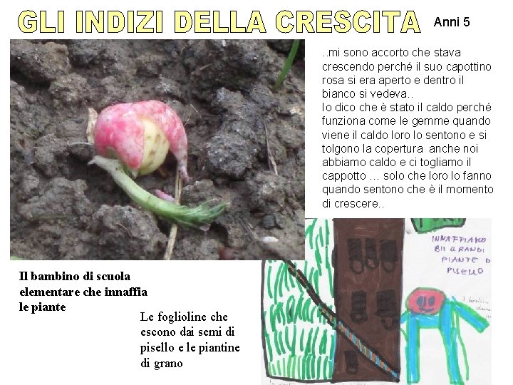 Anni 5. . mi sono accorto che stava crescendo perché il suo capottino rosa