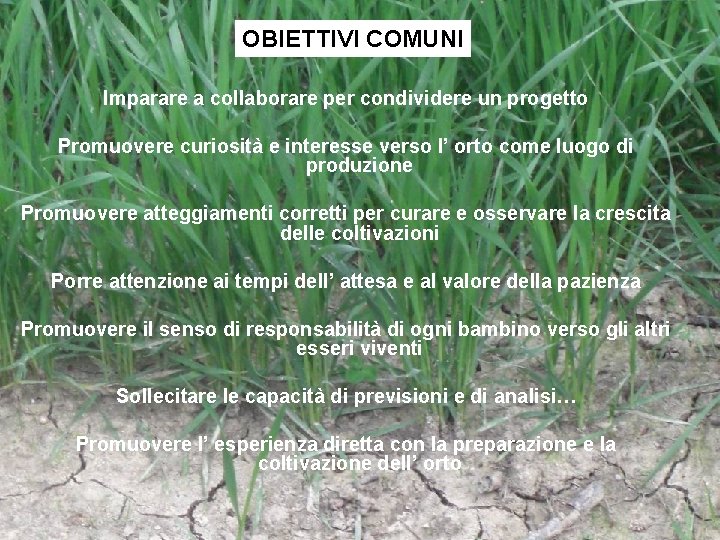 OBIETTIVI COMUNI Imparare a collaborare per condividere un progetto Promuovere curiosità e interesse verso