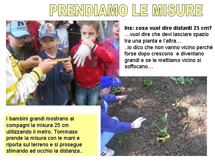 Ins: cosa vuol dire distanti 25 cm? …vuol dire che devi lasciare spazio tra