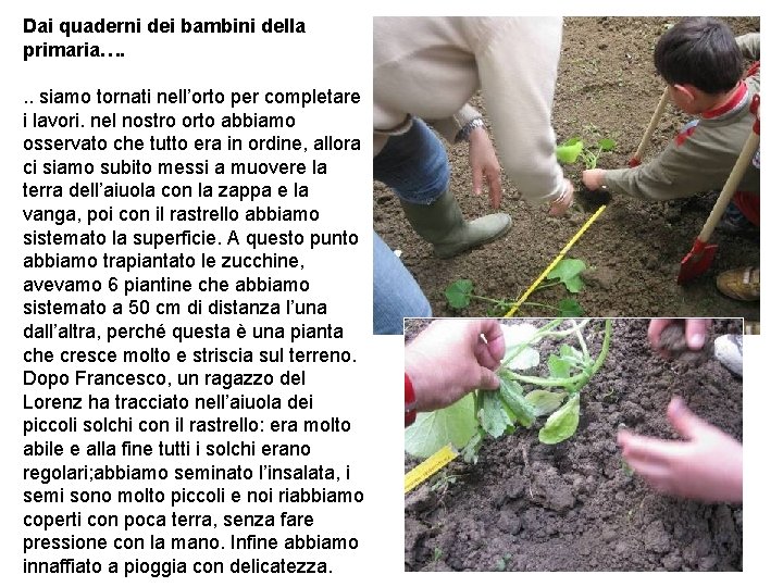 Dai quaderni dei bambini della primaria…. . . siamo tornati nell’orto per completare i