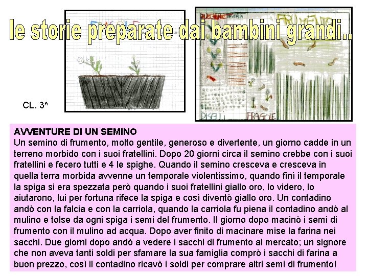 CL. 3^ AVVENTURE DI UN SEMINO Un semino di frumento, molto gentile, generoso e