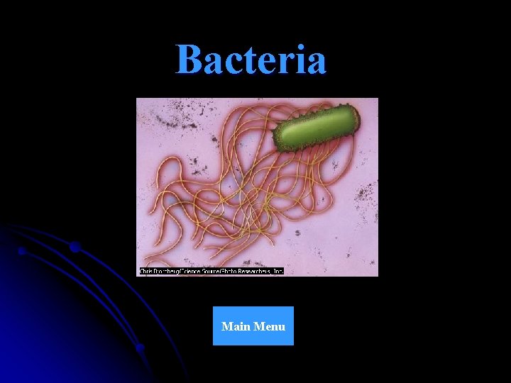 Bacteria Main Menu 