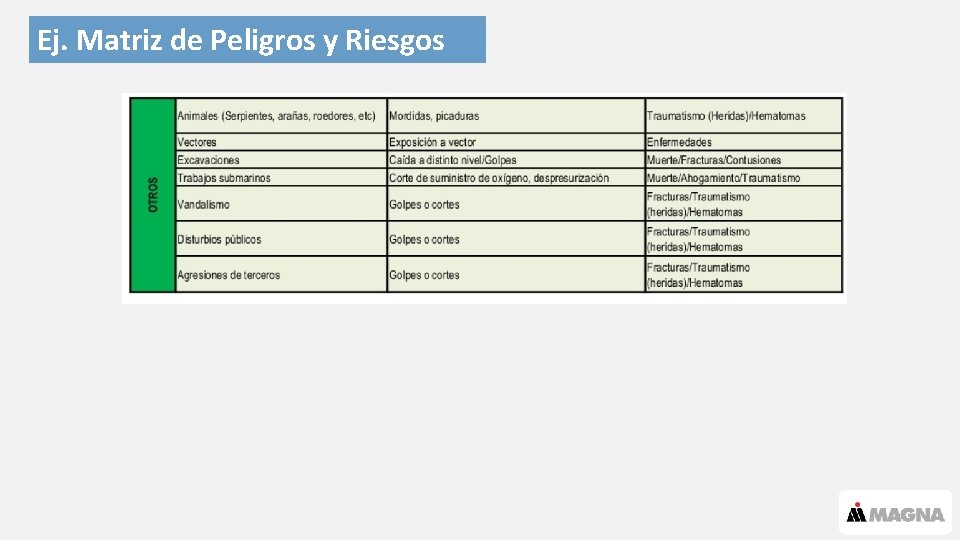 Ej. Matriz de Peligros y Riesgos 22 