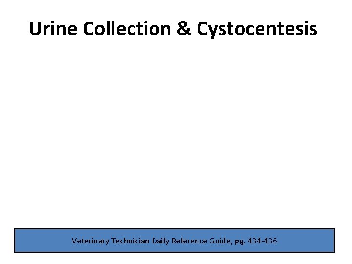 Urine Collection Cystocentesis Veterinary Technician Daily Reference Guide