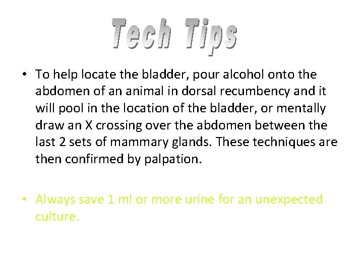  • To help locate the bladder, pour alcohol onto the abdomen of an