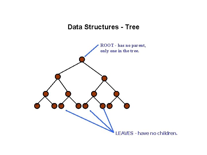 Data Structures - Tree ROOT - has no parent, only one in the tree.