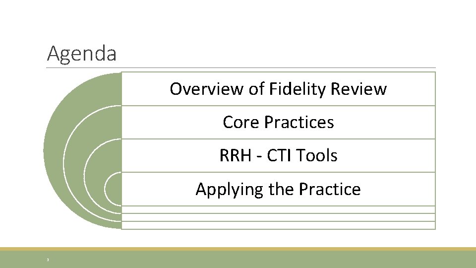 Agenda Overview of Fidelity Review Core Practices RRH - CTI Tools Applying the Practice
