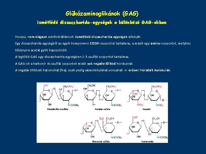 Glükózaminoglikánok (GAG) ismétlődő diszaccharida-egységek a különböző GAG-okban Hosszú, nem elágazó szénhidrátláncok. Ismétlődő diszaccharida egységek