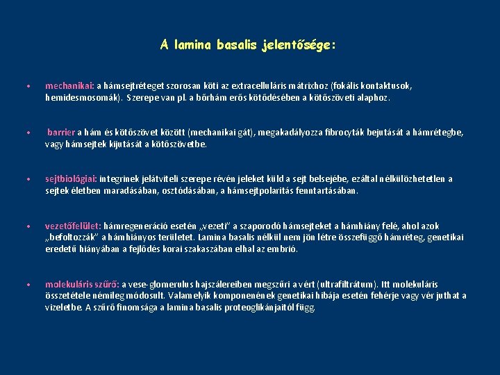 A lamina basalis jelentősége: • mechanikai: a hámsejtréteget szorosan köti az extracelluláris mátrixhoz (fokális