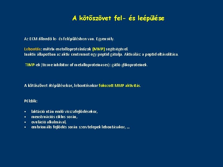A kötőszövet fel- és leépülése Az ECM állandó le- és felépülésben van. Egyensúly. Lebontás: