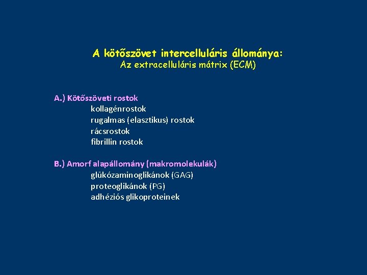 A kötőszövet intercelluláris állománya: Az extracelluláris mátrix (ECM) A. ) Kötőszöveti rostok kollagénrostok rugalmas